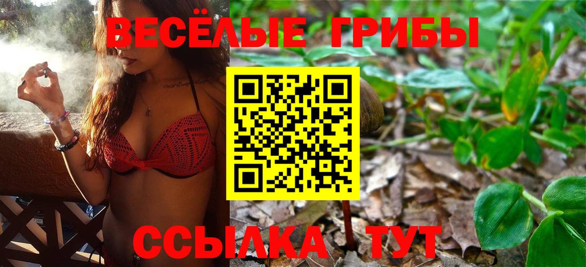 Псилоцибиновые грибы Magic Shrooms Курган